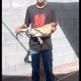 Busco conocer gente. Mujeres de 30-35