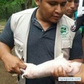 Ronald Borora Romero
