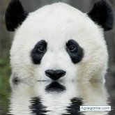 Chatear con mefg35 de Mixco