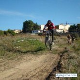 kuny chico soltero en Tarragona