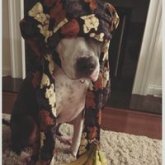 jyxishuan chico soltero en Huancayo