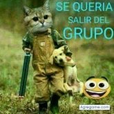 Bernardo