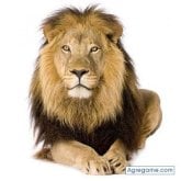 Foto de perfil de frankbruno