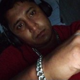 plomeroscachorros