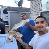 Busco pareja. Conocer personas. Buen