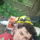 Amable sensilla y ulmilde. Sensillo y