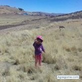 Encuentra Mujeres Solteras en Puerto Atico (Arequipa)