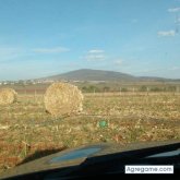 Chatear con Valentinobarajasa de Tlajomulco De Zúñiga