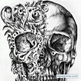 Chatear con victorfagundez de Santa Clara De Olimar