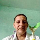 La secundaria pequeño productor.