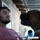 Chatear con maximilianoalcaniz de Cafayate