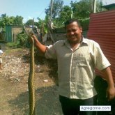 elves13 chico soltero en San Cristobal