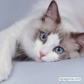 Chatear con martinmax1832 de Perdriel