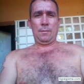 zamir