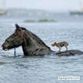 Enrique_Fonseca chico soltero en Barinas