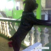 pilinga chico soltero en Jonuta