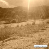 CartasAmarillas chico soltero en Cuauhtémoc