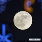 nelson301989 foto #21