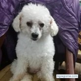 robertorafael3973 foto #17