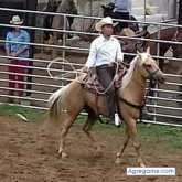 Chatear con luisgonzalez8259 de Las Tablas