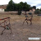 Tonirubio chico soltero en Bonavista