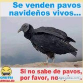 AlejandroOtoya