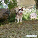 albertokeniakobu chico soltero en 