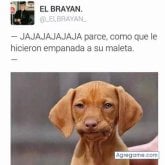 Foto de perfil de bavp99
