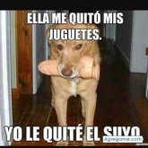 Chatear con Gerpro de Canada