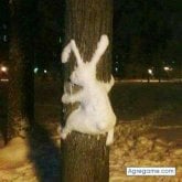 Conductor y egresado de técnico. Busco