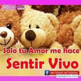 Foto de perfil de martinjavier8906