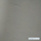 reyblack chico soltero en Alto De Garzón