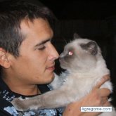 eduardoeduardo chico soltero en Toro