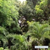 Chatear con sanche573 de Río Hato