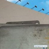 Chatear con javiercarrera de Chillogallo