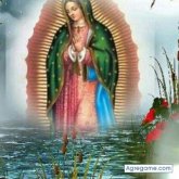 LuisFelipe07 chico soltero en Fort Worth