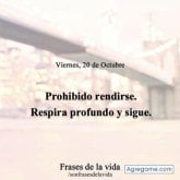 Foto de perfil de fernandocornejo