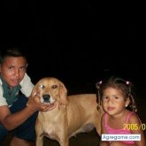 yohana9 foto #17