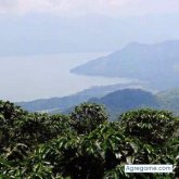 dariobaide chico soltero en Santa Bárbara