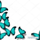 Chatear con Diego23b de San José Ciudad