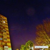 Angelillogrillo chico soltero en Ferrol