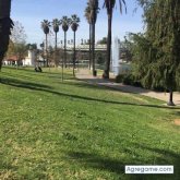 Chatear con Kenryu de Olathe