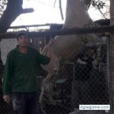 Ver fotos más de cletodi