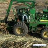 Elvisalvisures chico soltero en Villa Canales