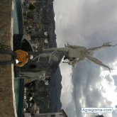 cesaro chico soltero en Chimbote