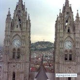 Cocolizo chico soltero en Aguacate De Navarrete