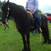 Busco hacer amistades. Conocer chicas