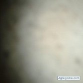 Foto de perfil de CarloMontes
