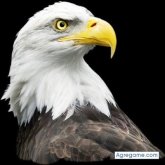 matcoshernandez chico soltero en Olanchito