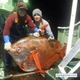 Busco pareja. Amigas. 😉.